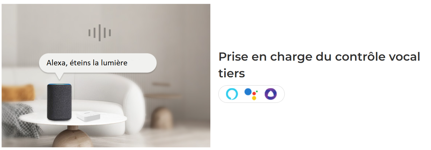 schéma néon flexible